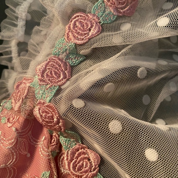 For Love and Lemons Pointelle Roses Teddy Medium NWT NEW Corset Bustier Thong - Picture 3 of 7